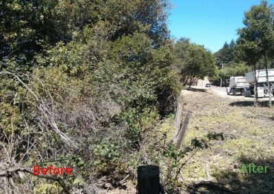 Fuel break cleared up to the MROSD fenceline within the CalTrans right-of-way along California Highway 35 (Skyline Blvd). The Before image is how the entire section looked before the SSFSC project.