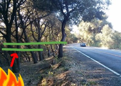 Fuel break cleared up to the MROSD fenceline within the CalTrans right-of-way along California Highway 35 (Skyline Blvd). The Before image is how the entire section looked before the SSFSC project.